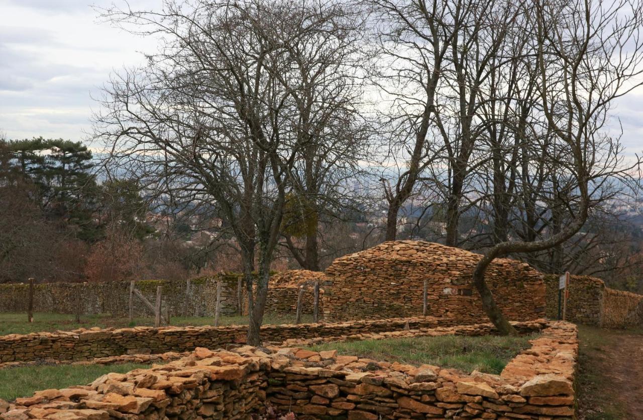 立方体房屋住宿加早餐旅馆 Saint-Didier-au-Mont-d'Or 外观 照片
